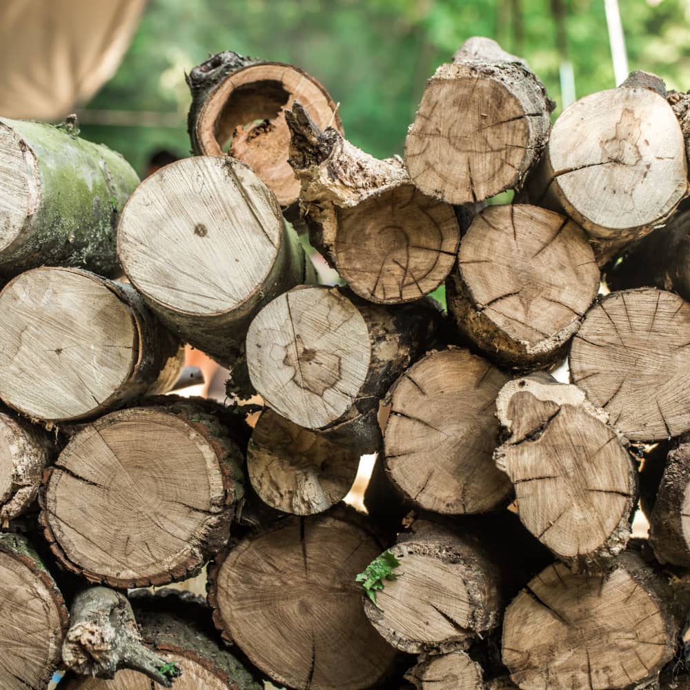 Why choose Quittie Run Firewood for Premium Firewood in Lebanon County, PA